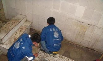 番禺區(qū)廠房屋面防水補漏，專業(yè)公司是保障生產(chǎn)的明智選擇